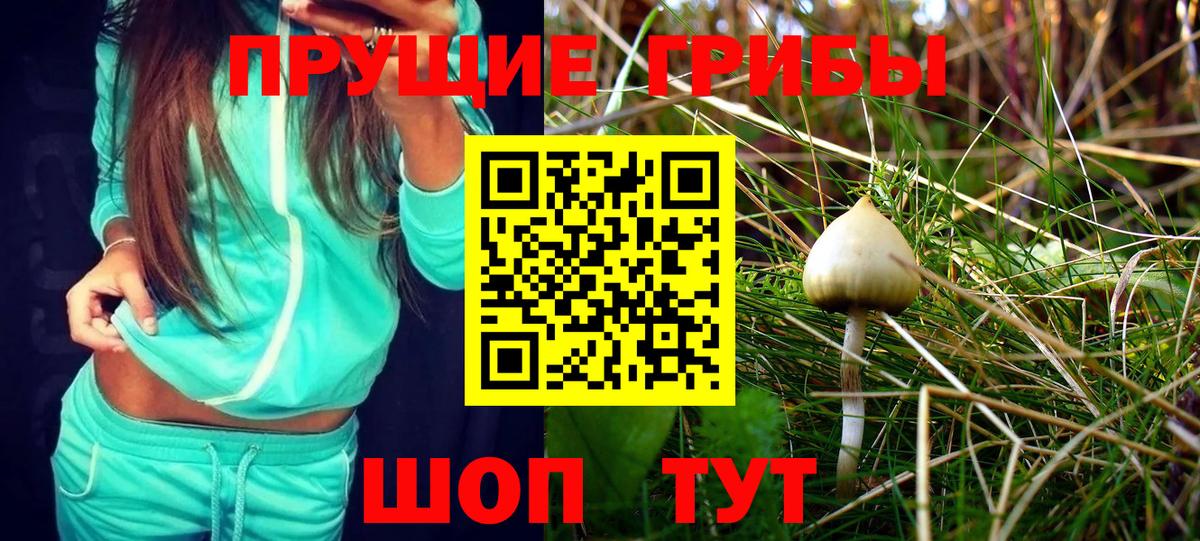 Псилоцибиновые грибы мухоморы  Галлюциногенные грибы Psilocybe  Вход с VPN  Медногорск 